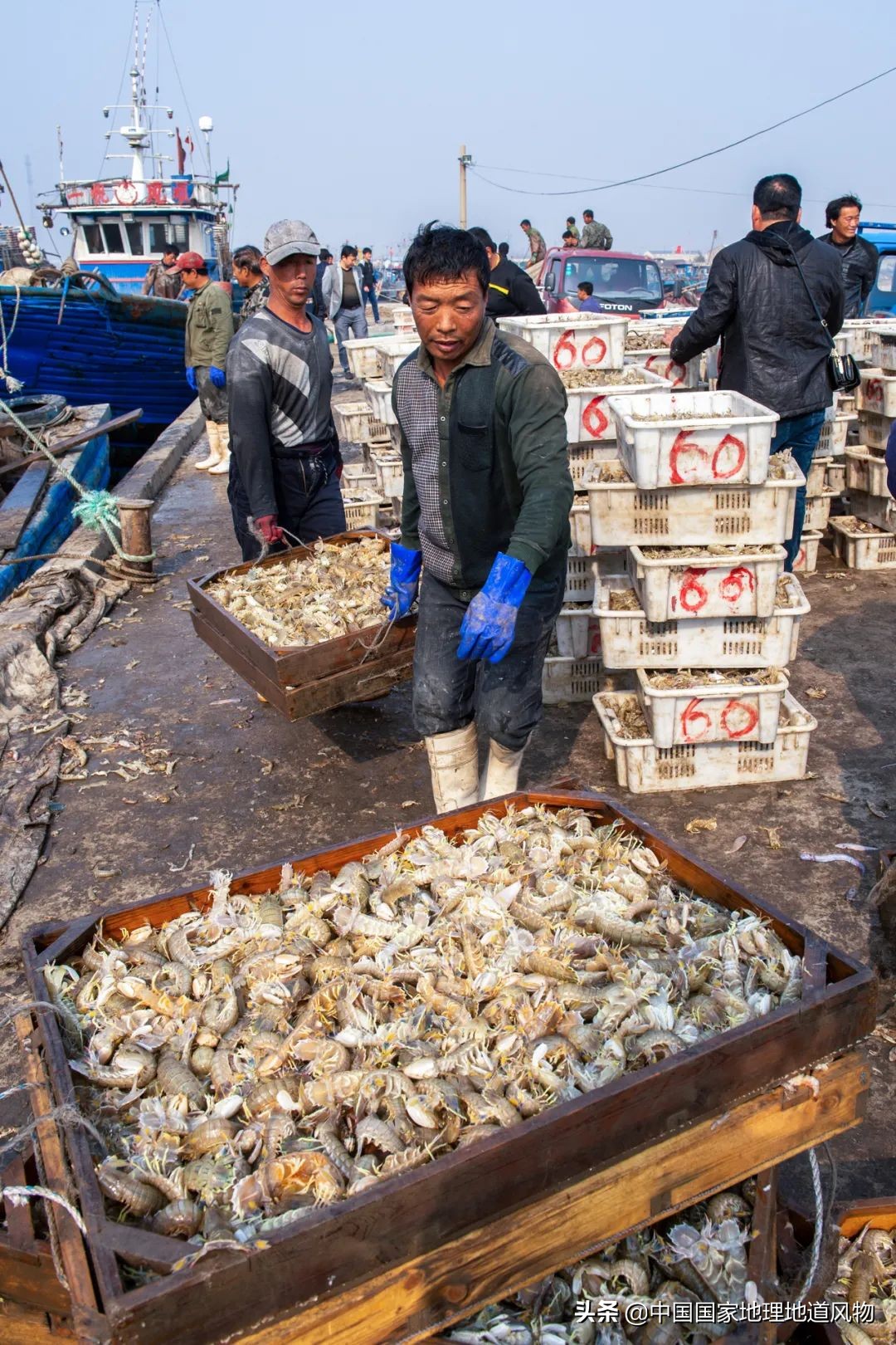 辽宁，被忽略的海鲜大省