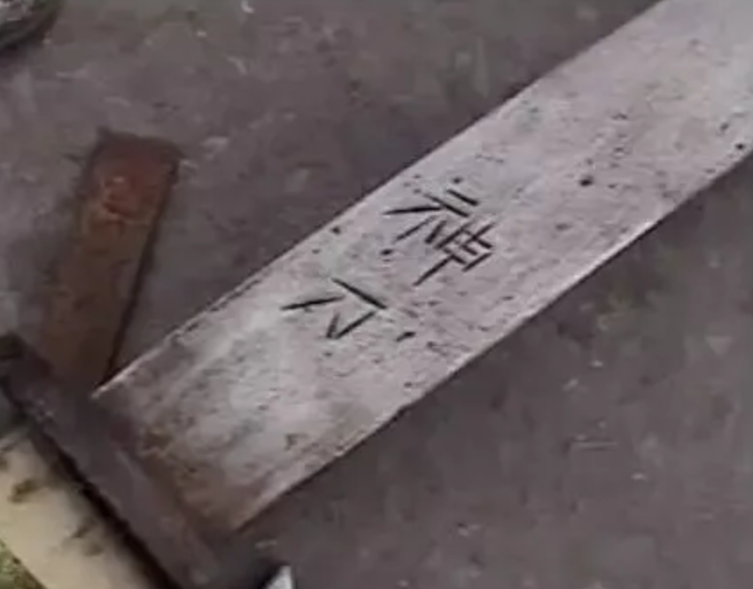 2001年四川5人成立新龙会，3个月发展近百成员，设神偷堂专偷农民