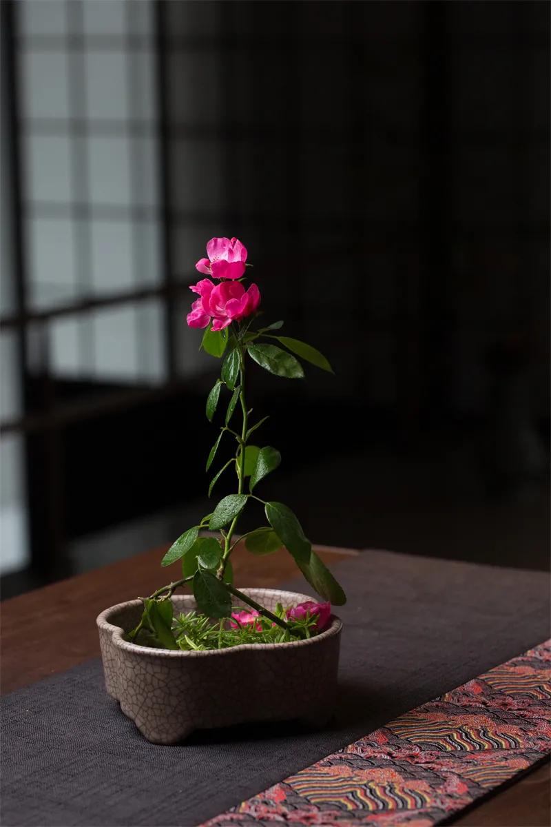 冬月插花：山茶未开梅先吐，风动帘旌雪花舞