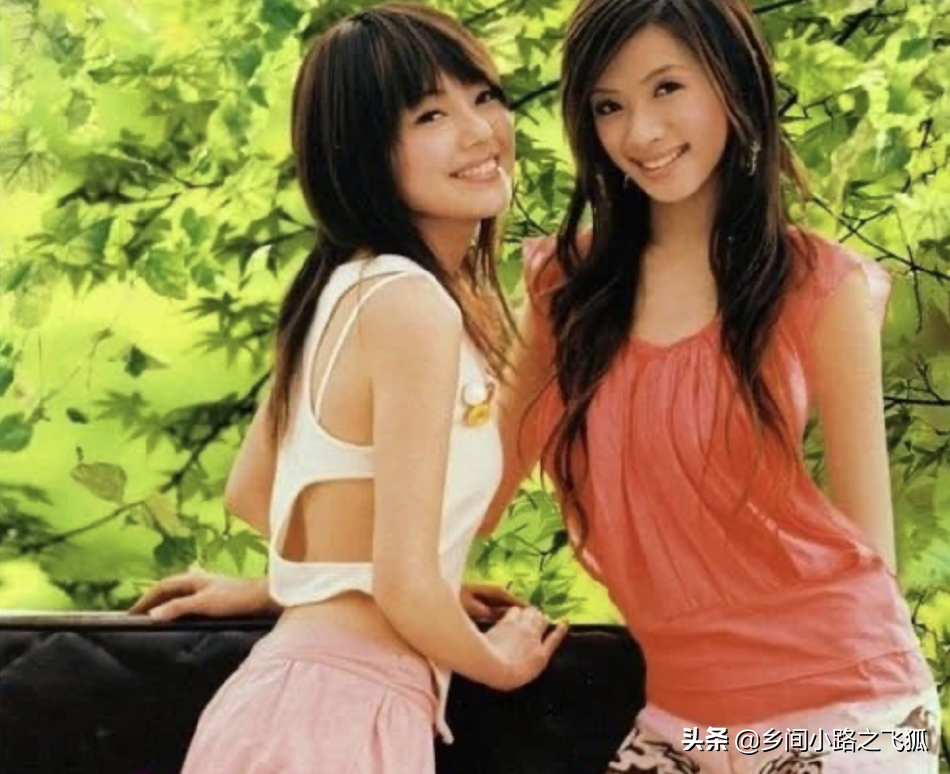 时代的眼泪！蜜雪薇琪终于合体 发博写道We’re back