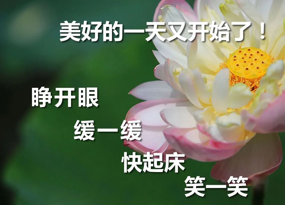 早上好动态表情图片及早晨好动图美图鉴赏 快乐的人生就是幸福图片