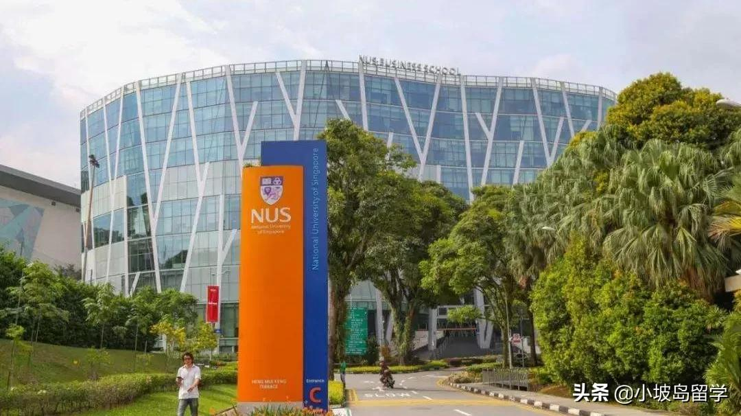 新加坡学校排名（择校必看）