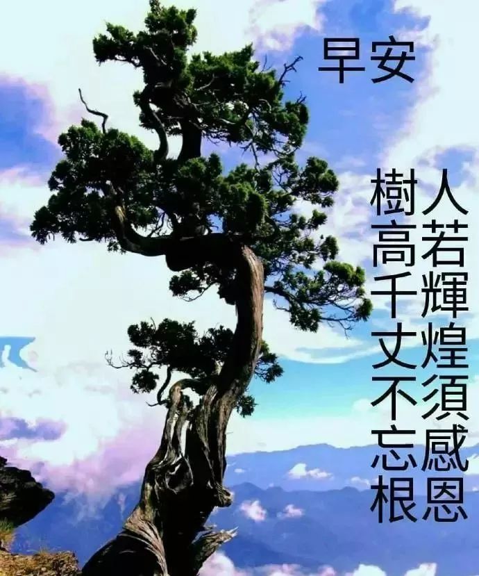 星期四清晨暖心问候语录大全，给自己一个微笑是个每天最好的礼物图片