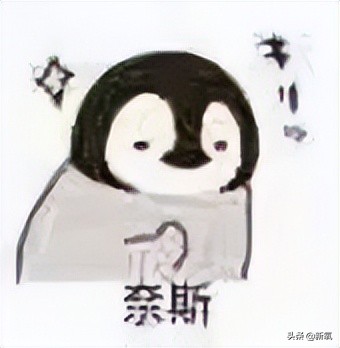 是给的太多了么？她俩之前可是厌恶舞台到顶级巡演都缺席不去…