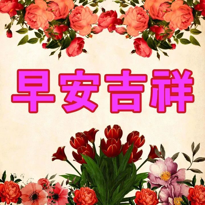 早上好温馨动态图片表情包 美好的今天带给你满满的幸福与快乐图片