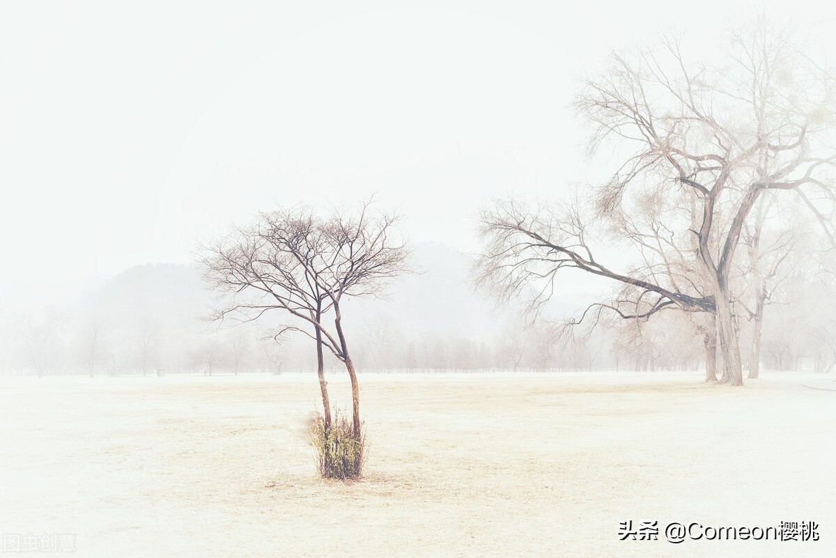 下雪了，你知道我在想你吗？