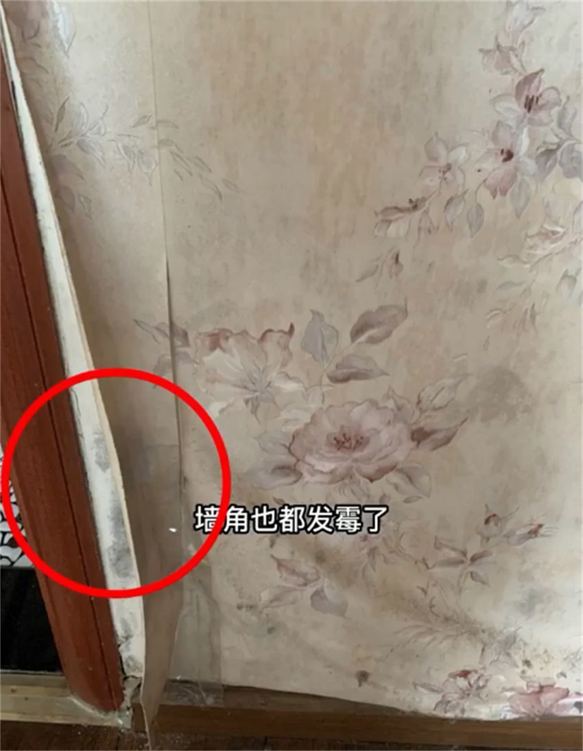 80后女孩在杭州买下56㎡老破小，自己改造，前后差别超大