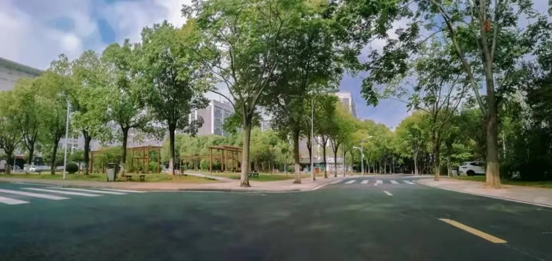 武汉艺术学院（武汉传媒学院2022年艺术类专业招生简章）