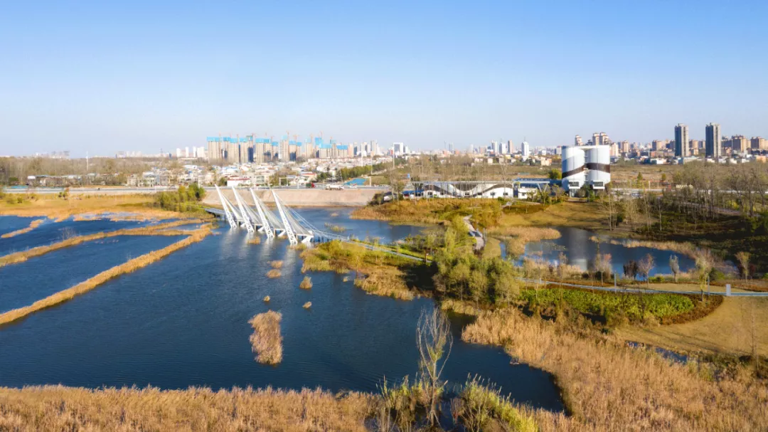 周口沙河湾湿地公园丨顺景园林