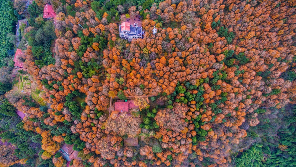 十大浙皖地区入门级徒步地，周末就能打卡，踏遍群山