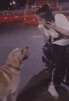 女朋友出差了，说去了上海出差，还给我发来了一张这样的照片