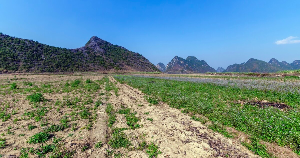 土地撂荒，土质退化，产量不稳，怎么办？专家：提高农民种粮收入