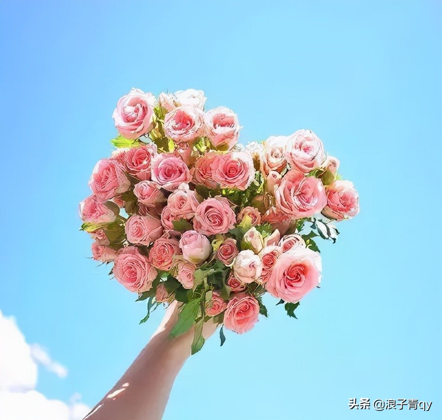 读后让人暖心的优美句子,简单干净,直抵心灵