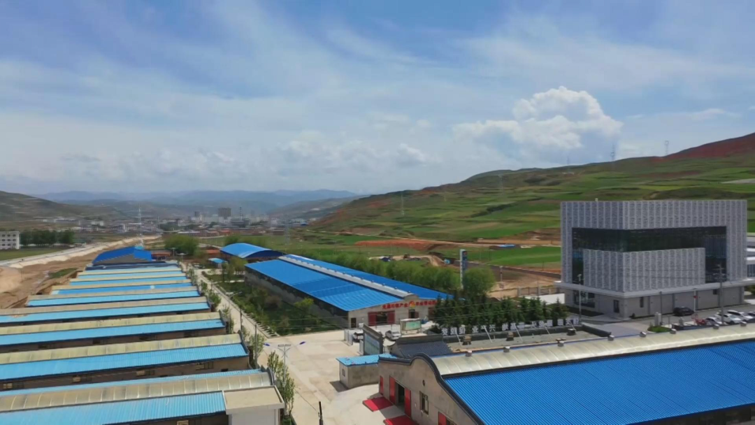 【奋进新征程 建功新时代】临潭：筑牢产业发展堡垒 夯实乡村振兴基石