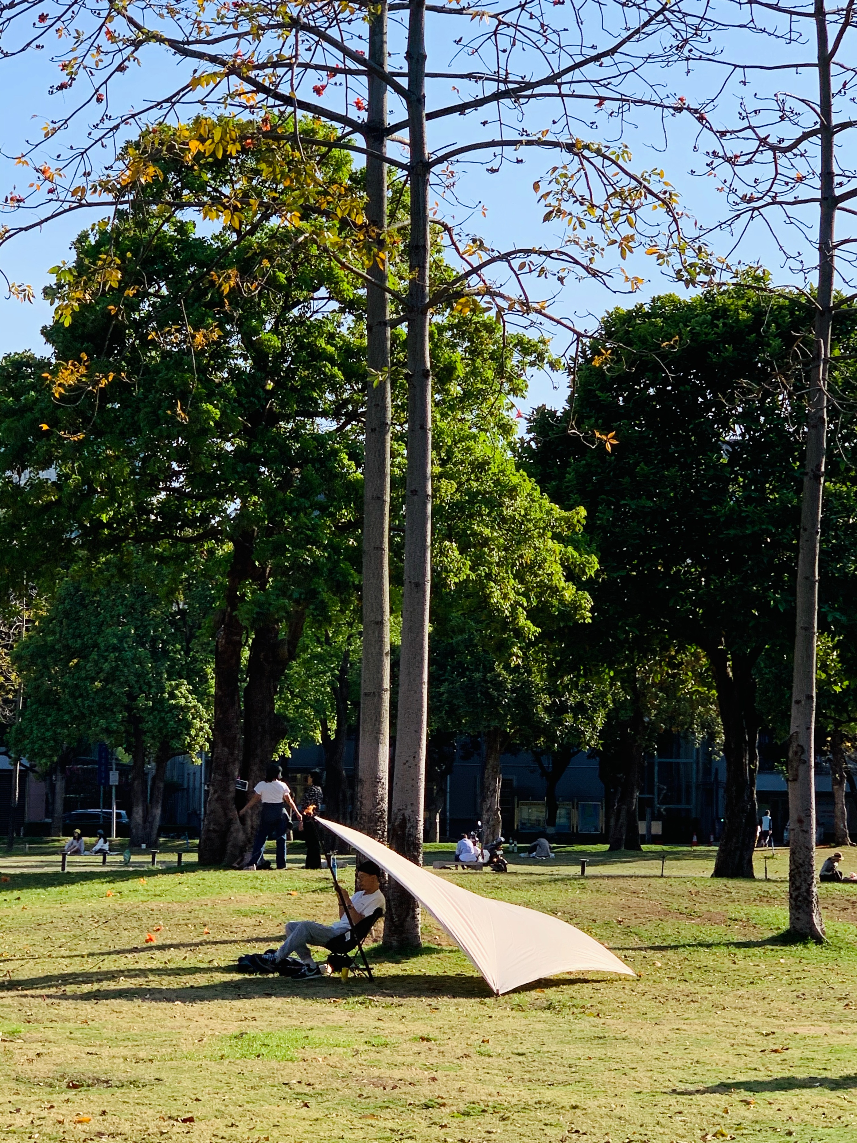广州5个适合骑行又免费的扎营地