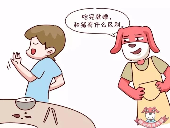 养生之道请牢记：早起两不要，饭后两不急，睡前两坚持