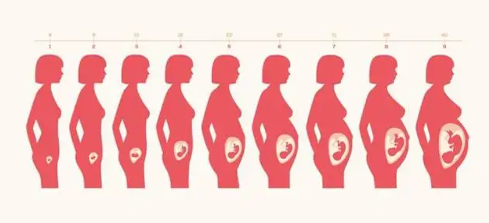 ����������������ѧ�ң�����21���²����£���������10�»�̥