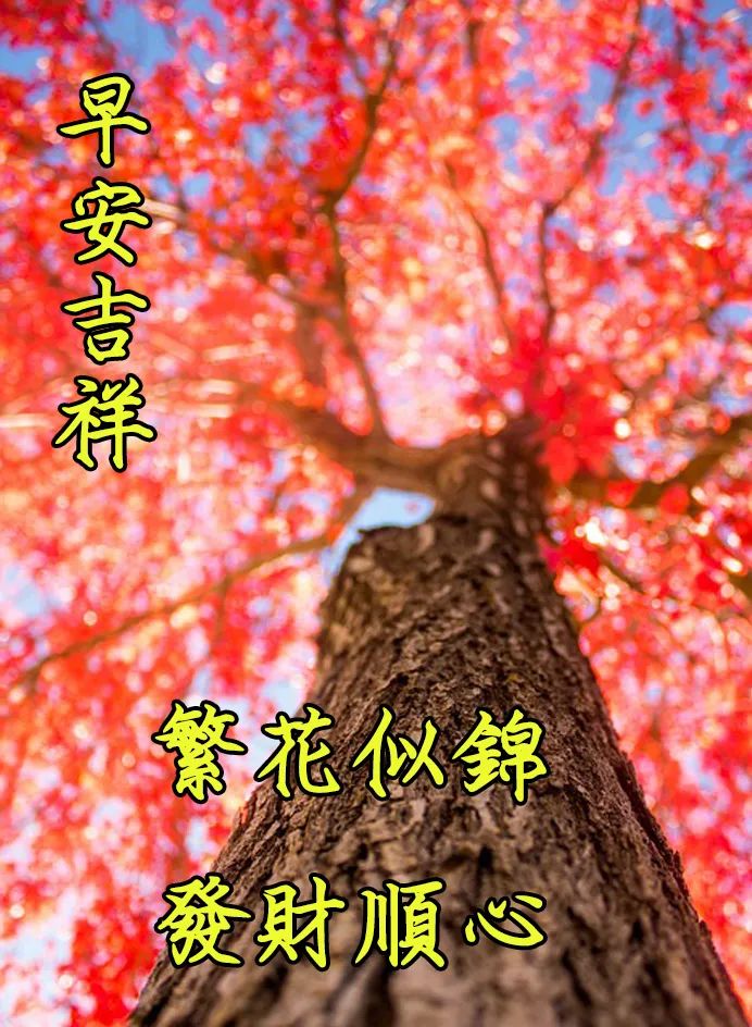 周末分享早上好表情包，轻轻祝福，平安健康伴随你，珍惜珍爱珍重图片