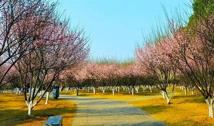 春节假期出游好去处，广州9个景点免费玩，都是拍照圣地