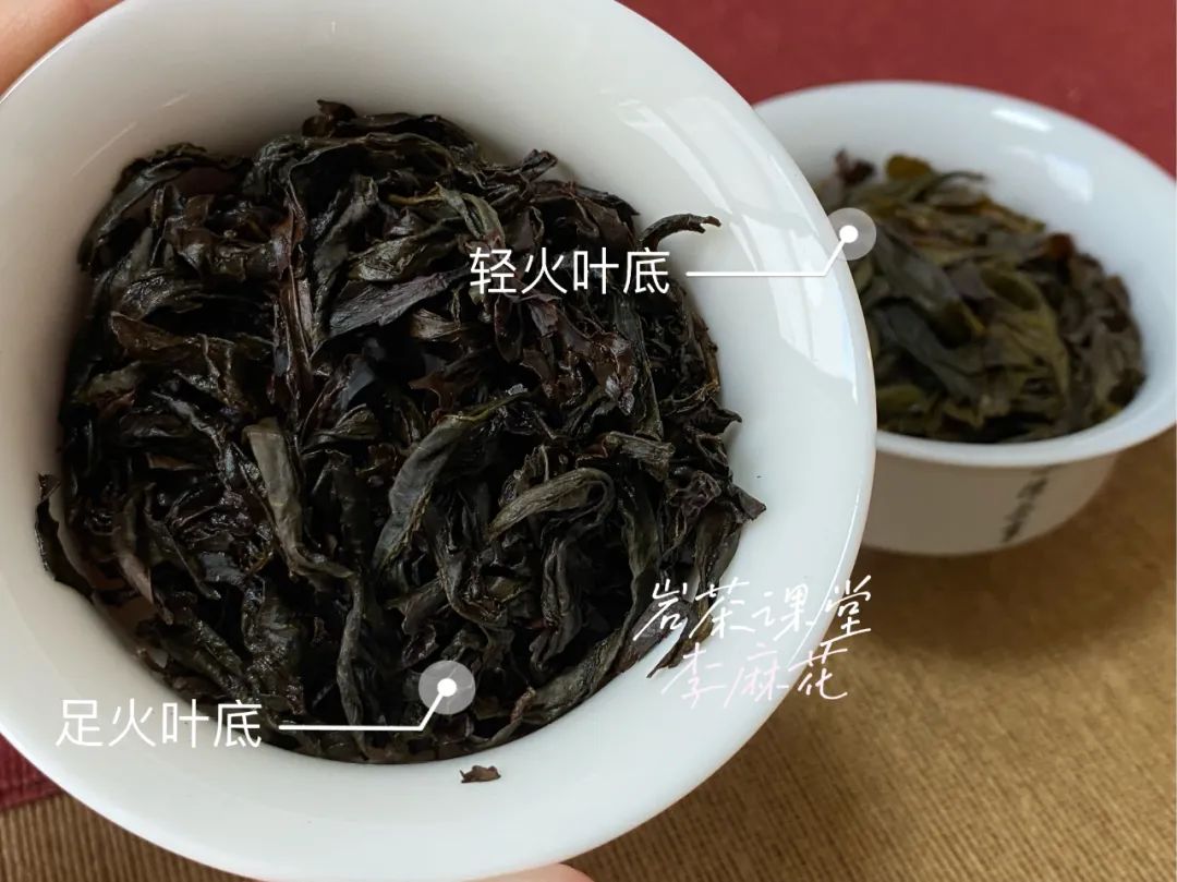 跟着李麻花学岩茶，轻松3步走，快速区分肉桂的火功高低，超简单