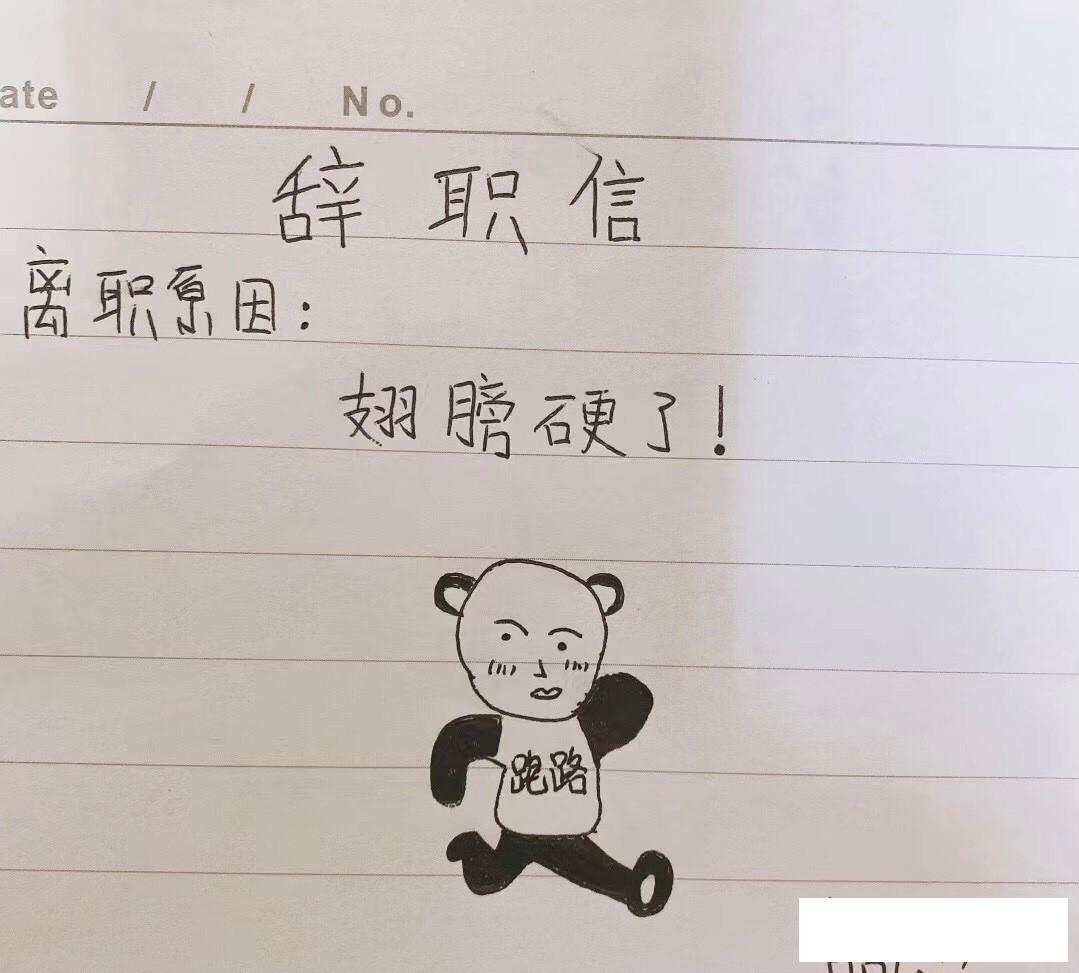 只要你给我吃的，别说什么站起来，就是跑起来都没问题