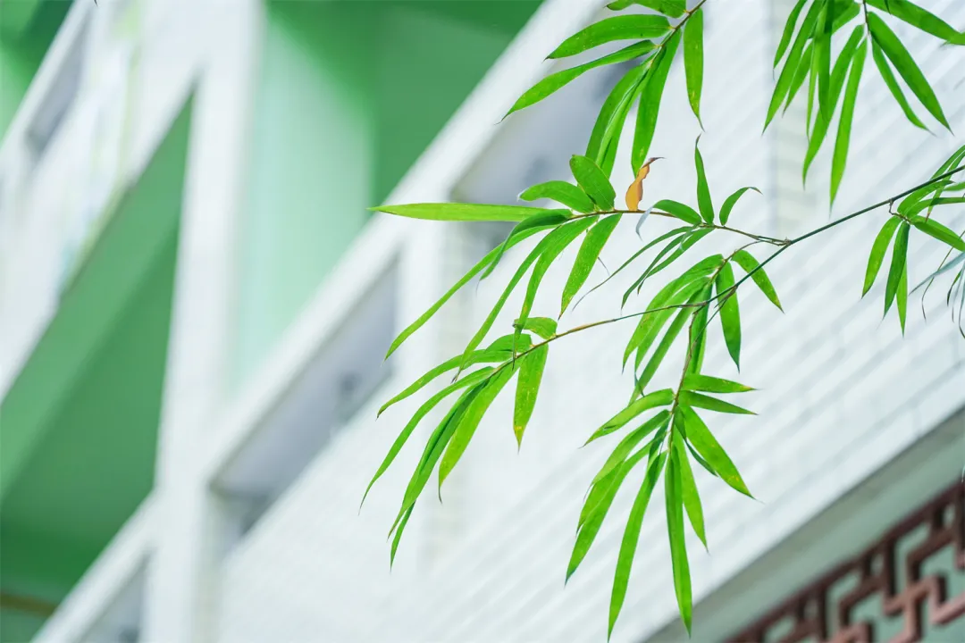 成都市双流区双华小学——竹源艺创 传承非遗之美