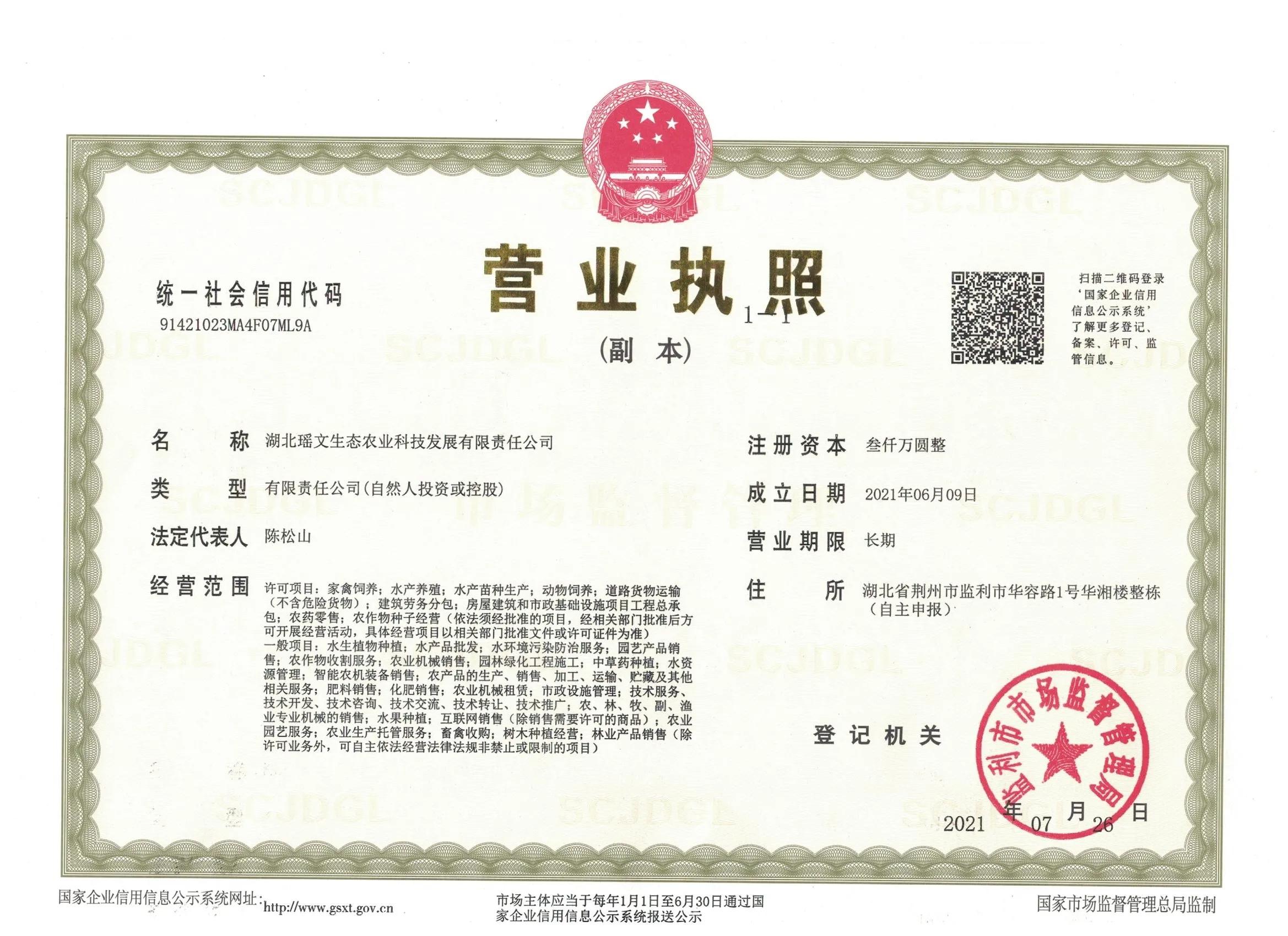 農村青年王龍，加工狐尾藻，帶活一方百姓就業