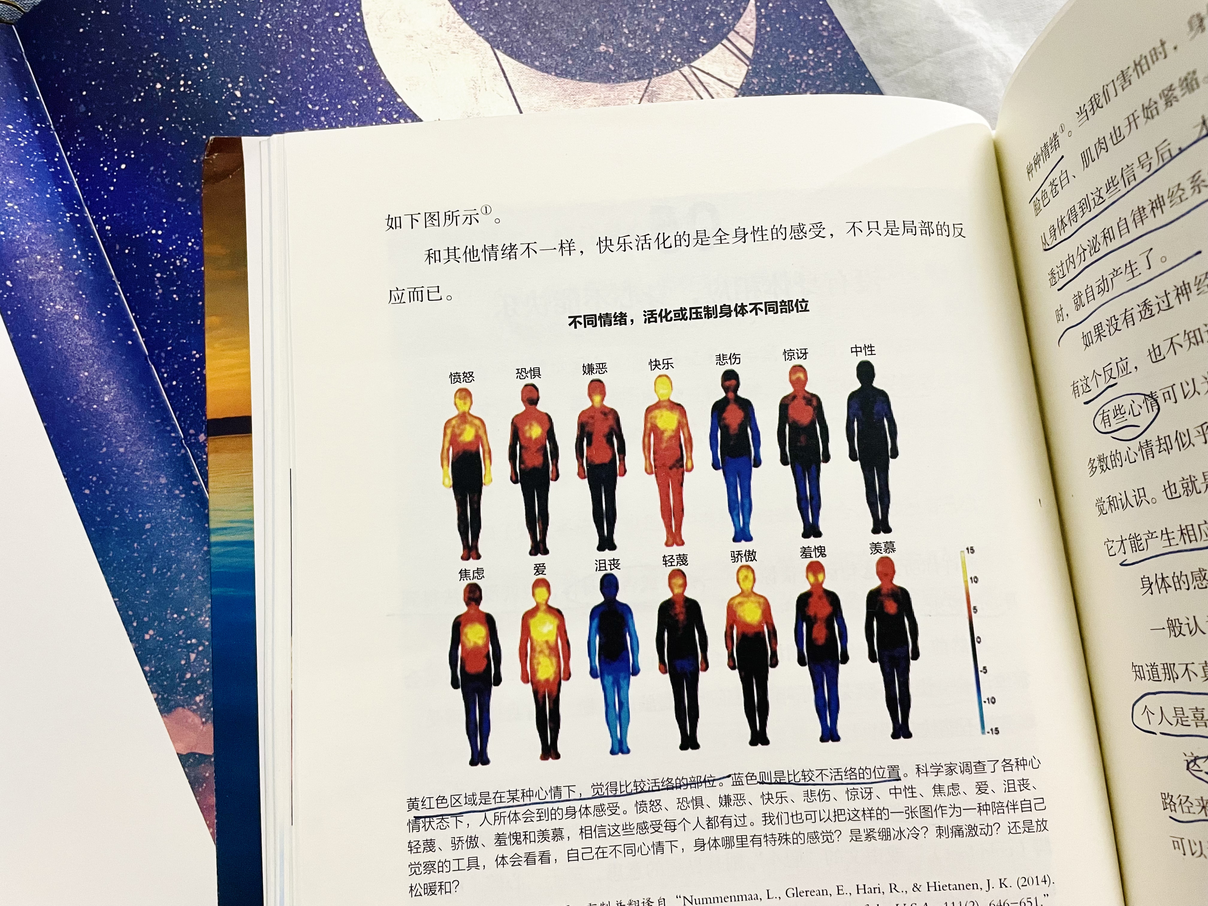 存在的本质，是喜悦：《不合理的快乐》