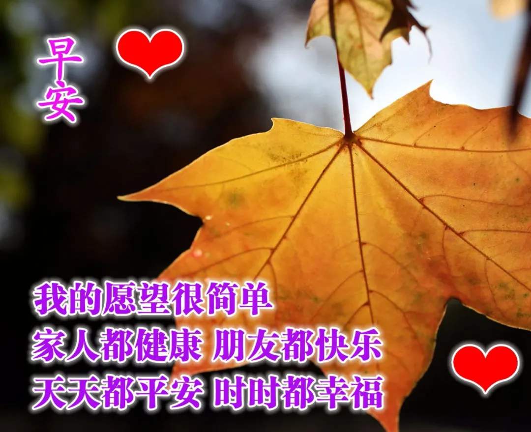 送给朋友早上好的吉祥祝福语 早安，幸福属于你，快乐倾向你图片