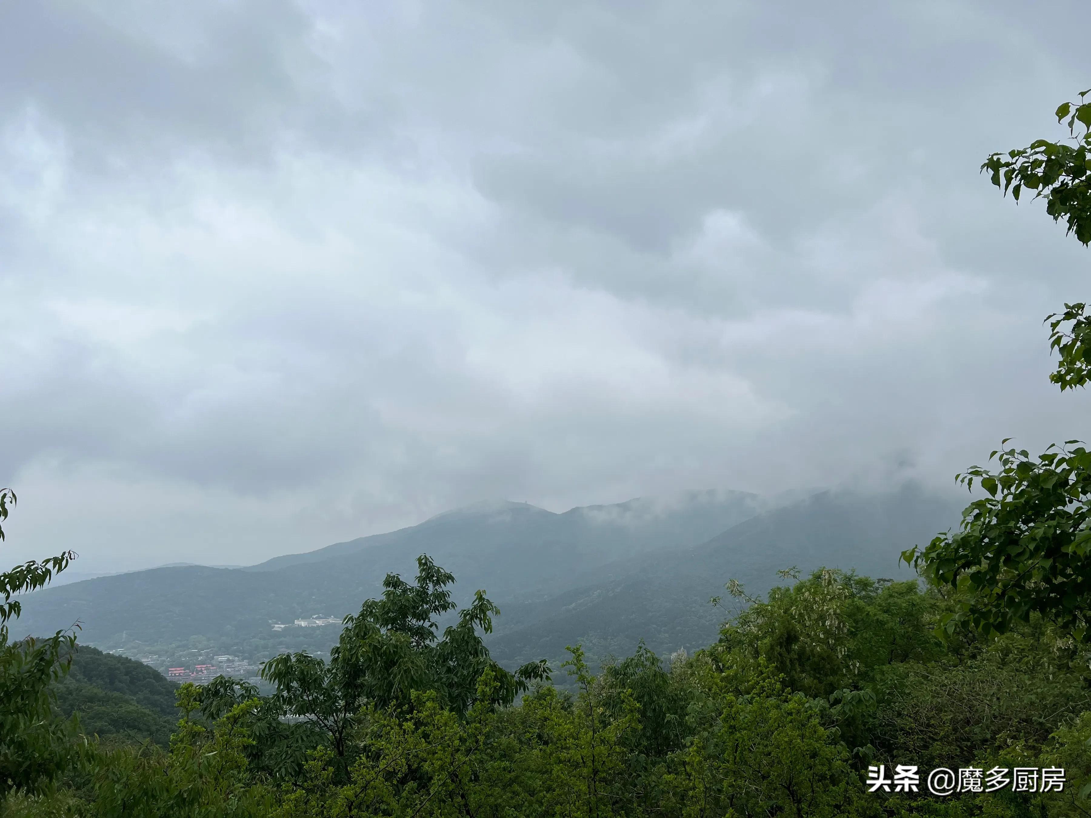 北京香山植物园户外记录，带孩子们雨中山野徒步，感受自然乐趣