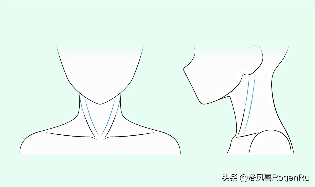 如何画动漫风格的脖子和肩膀(如何画动漫风格的脖子和肩膀图片)