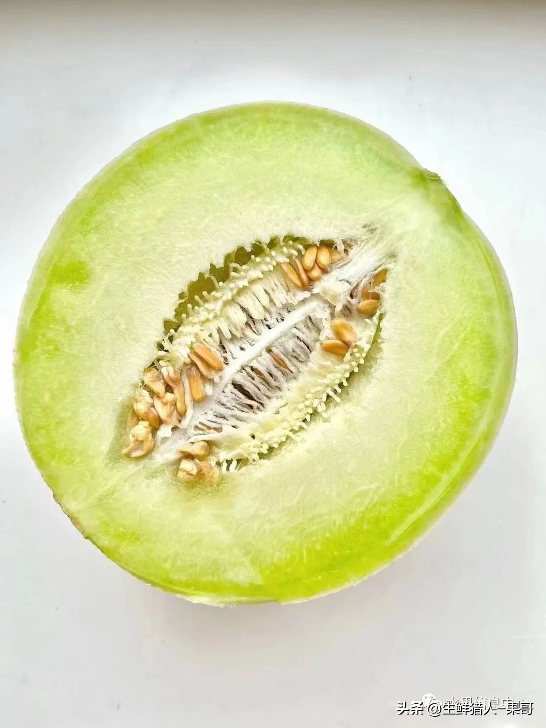 哈密瓜、蜜瓜、网纹瓜、香瓜、羊角蜜傻傻分不清？看完就明白了