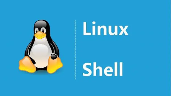 linux shell脚本编写基础