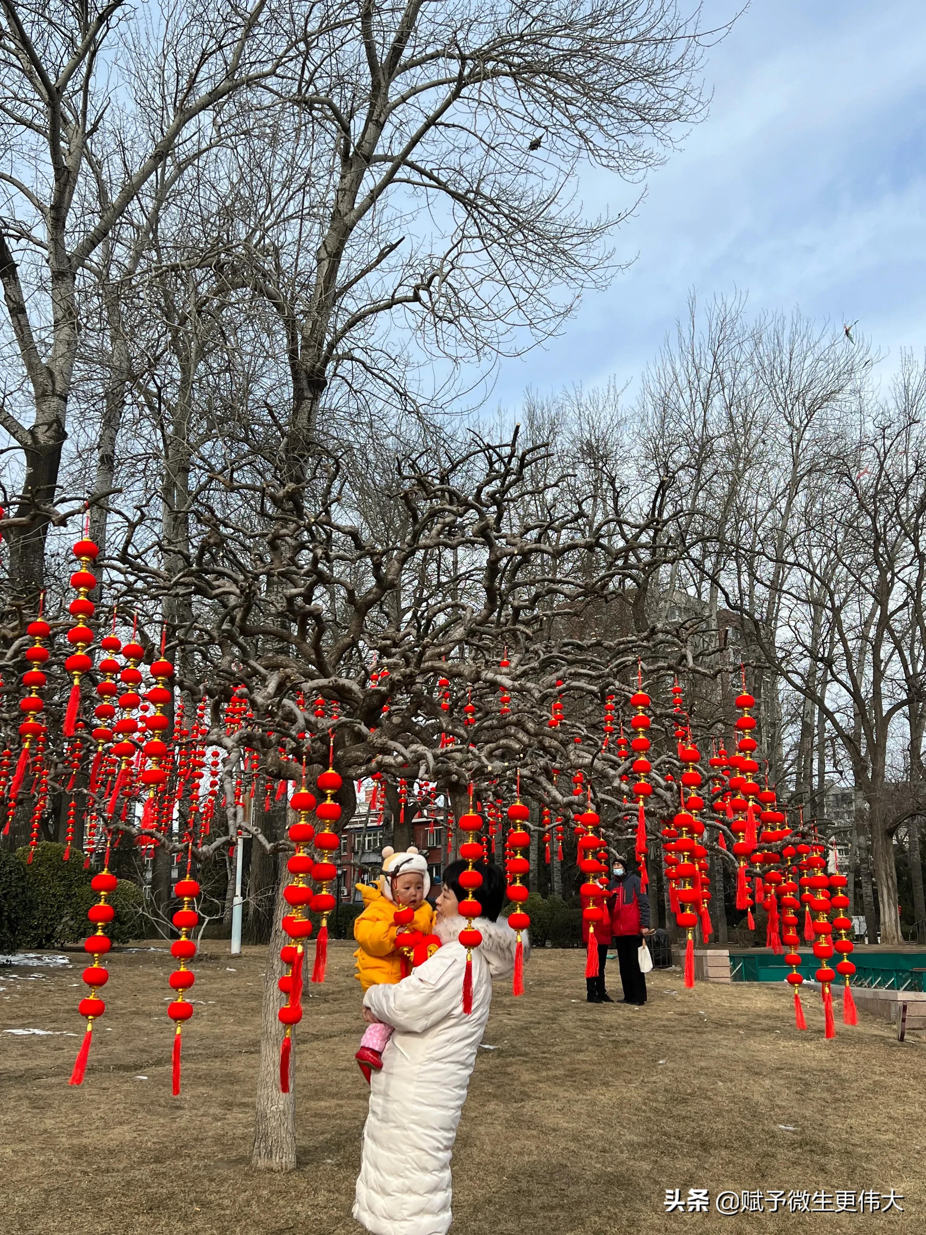 韵满霞——满园遍布中国红