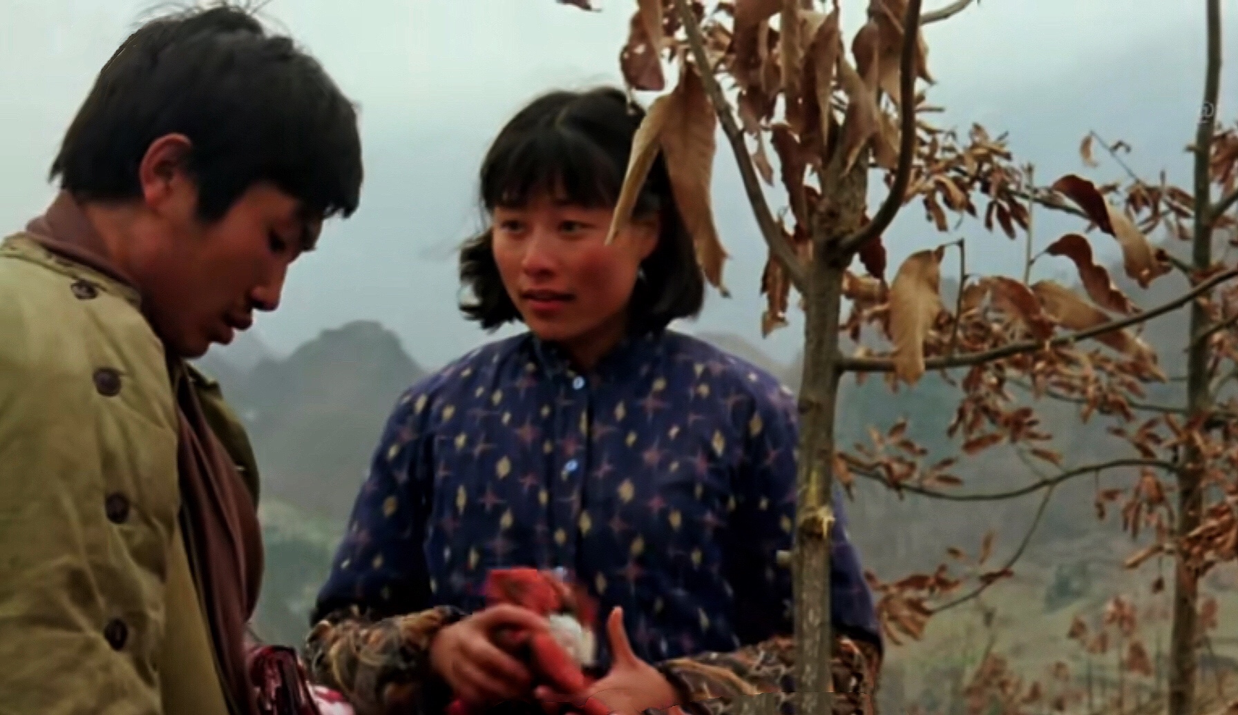 贾平凹《鸡窝洼人家》：山里两对夫妻相换，荒诞背后是乡村的变革