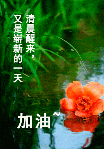 最漂亮早晨好问候语图片带字 怀着快乐的心 寻找开心的路图片