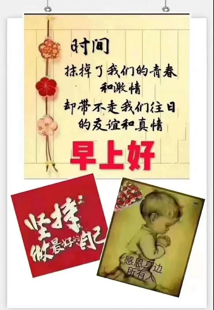 朋友圈早上好问候语鲜花图片 迎来美好的一天 永远的祝福 道一声珍重图片