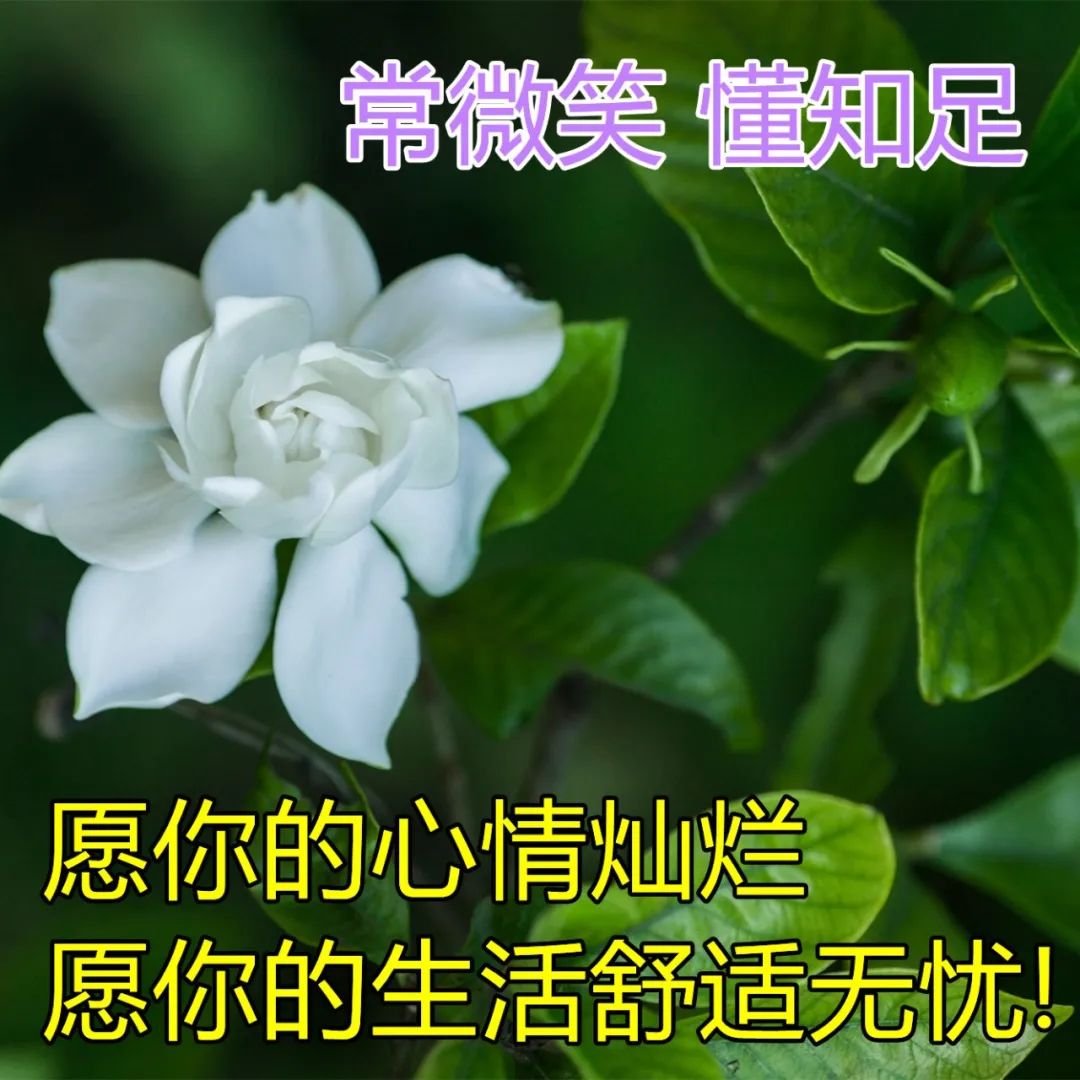 微信朋友圈早上好暖心问候语图片 满满的牵挂，问候送吉祥图片