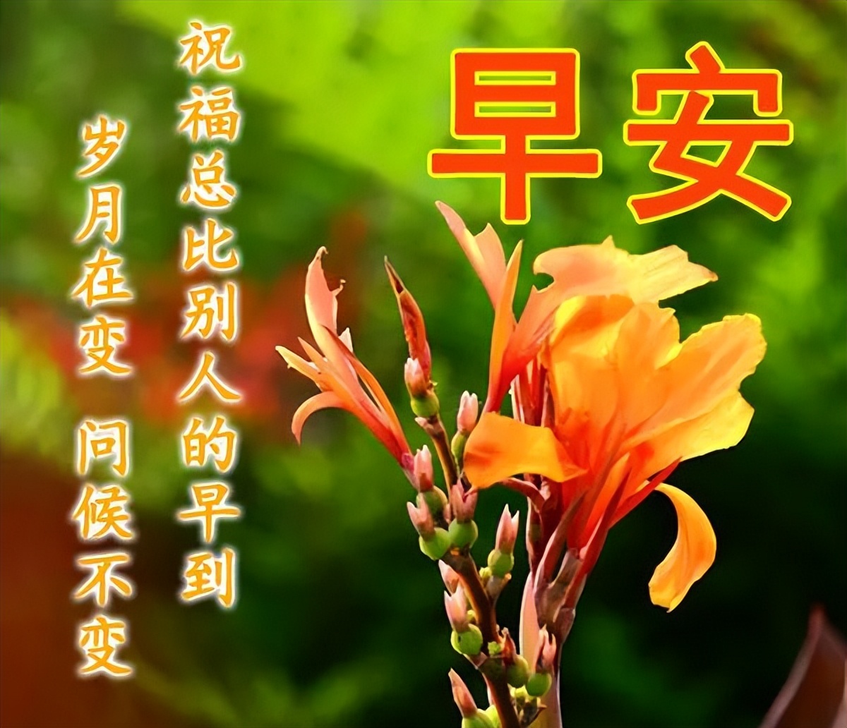 最新早上好微信祝福语录 最新微信短信问候祝福语 行善得福气图片
