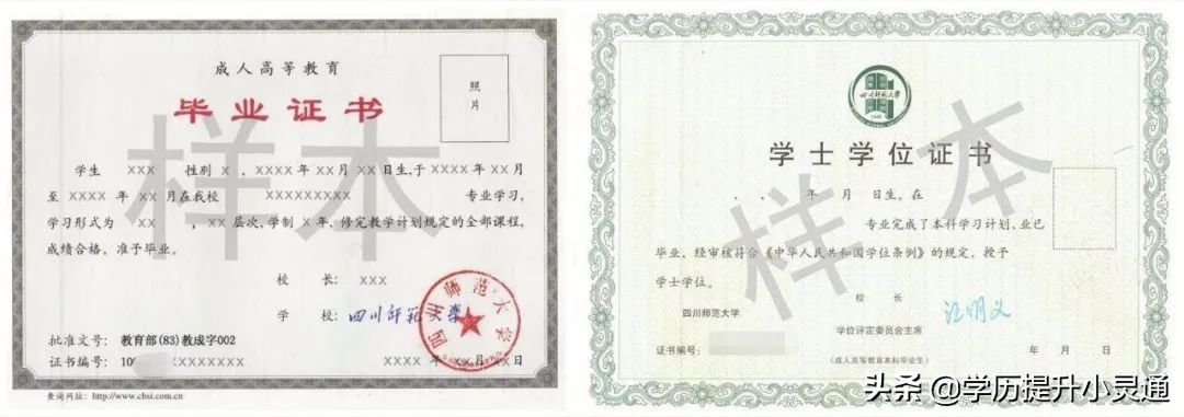 四川成人高考专升本——国际经济与贸易专业