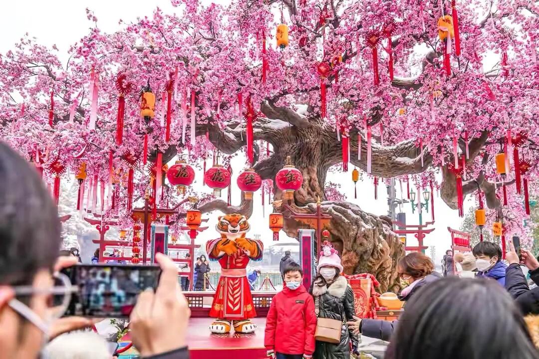 元宵节去哪里看花灯（10个城市灯会必须看）