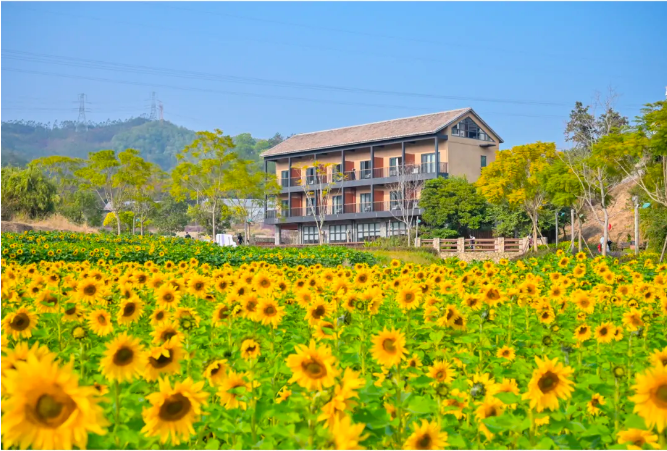 福年开门红，厦门微旅游→