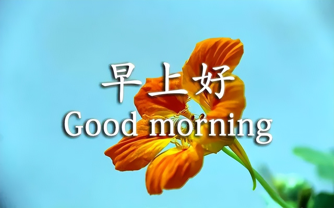 周末最新早上好表情包，清晨的问候，牵挂的你，感恩有你图片