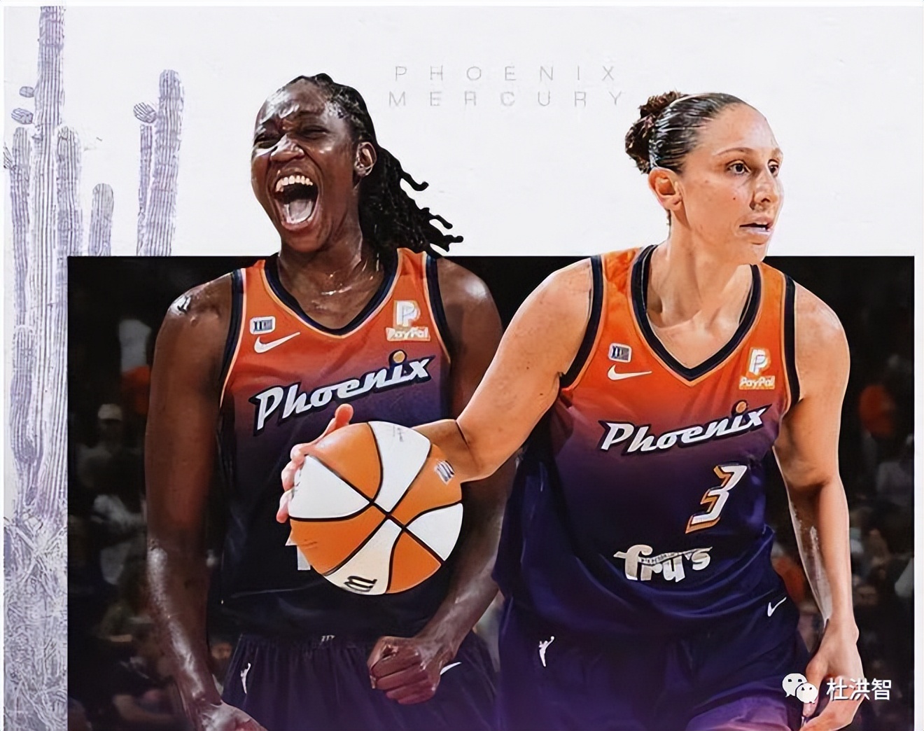 wNBA有几支球队(2022新赛季WNBA十二支球队前瞻（希望大家好好收藏）)