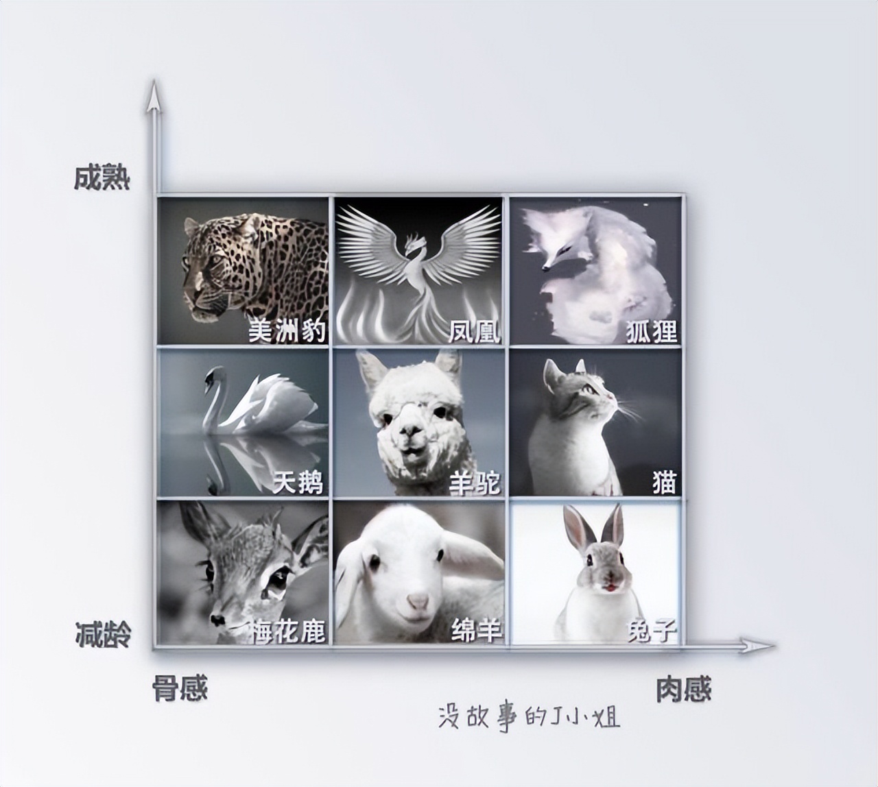 长得貌美如花，衣品一言难尽？不会穿搭真不能怪没钱、不好看