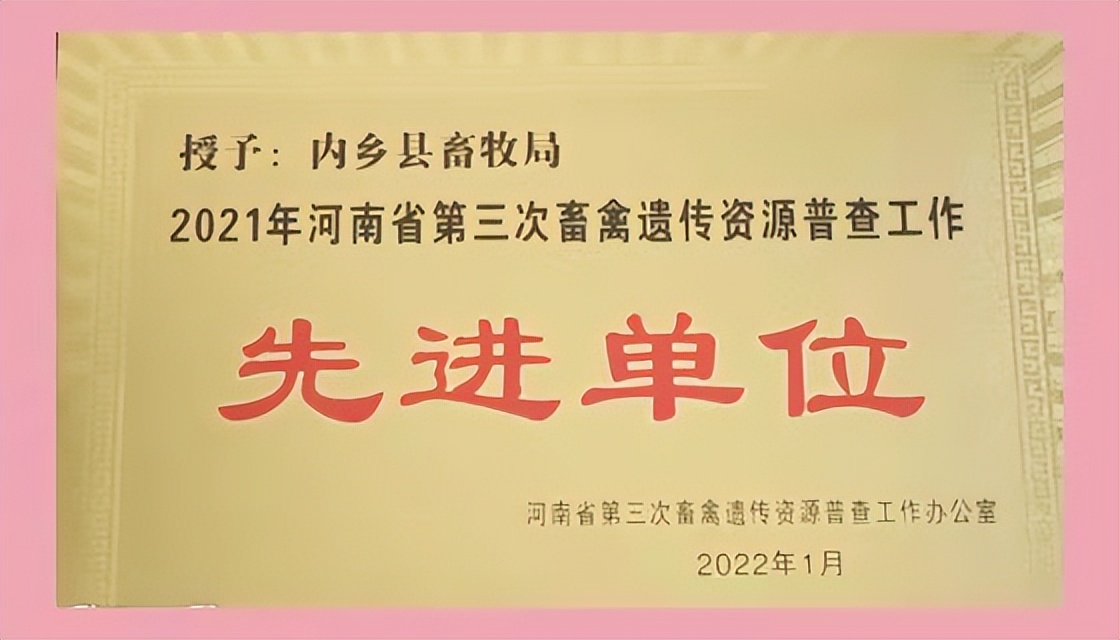 河南內鄉(xiāng)：“四好”標準強力推進南陽黑豬性能測定工作