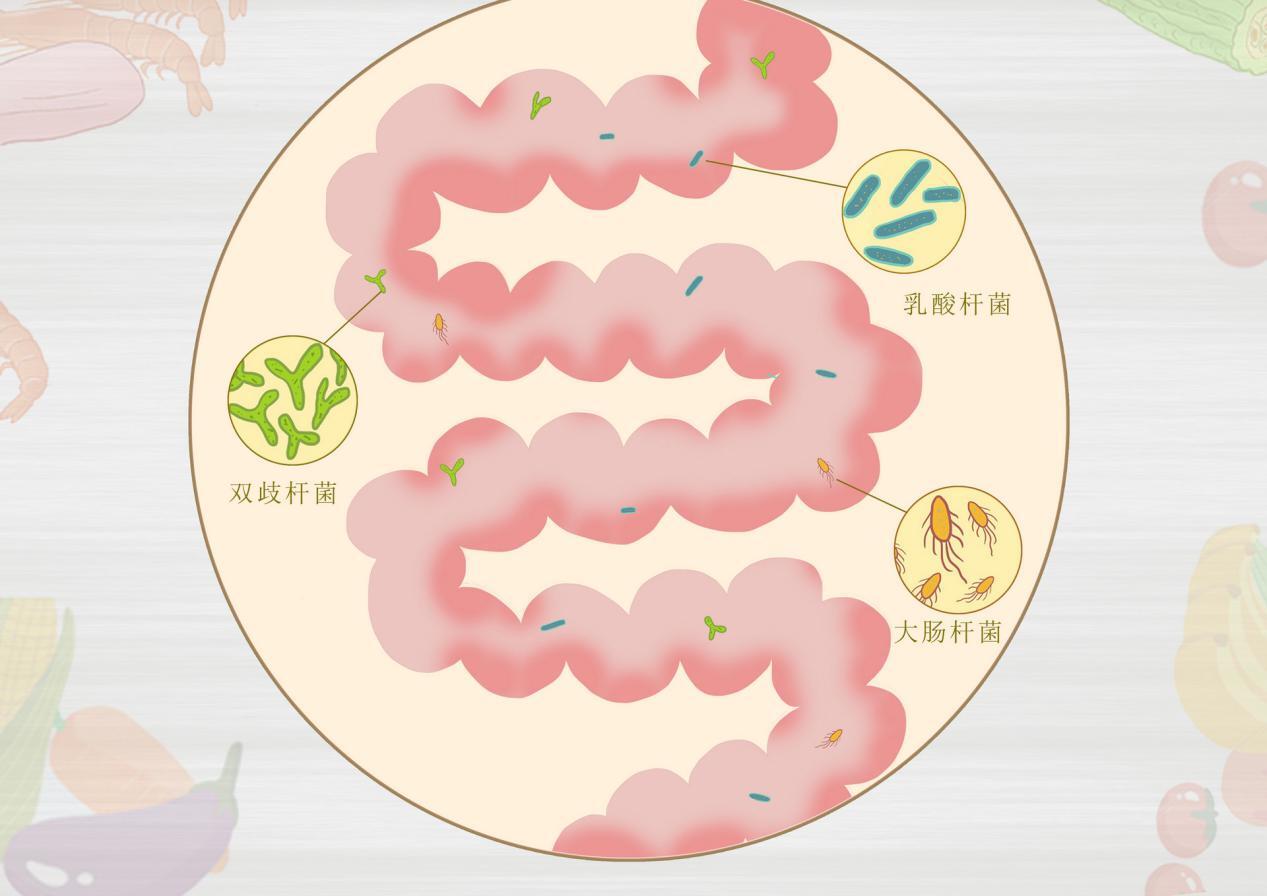 益生菌哪个牌子好？选择多菌株产品更优