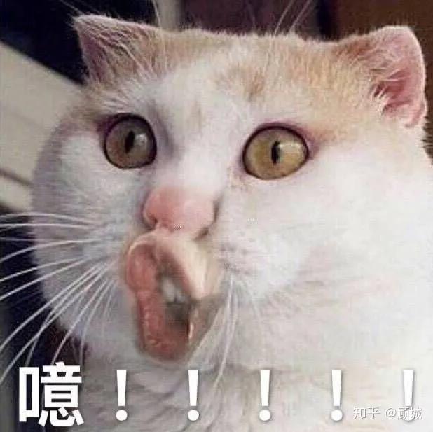 十则笑掉大牙的搞笑段子，大家快点进来一起笑啊