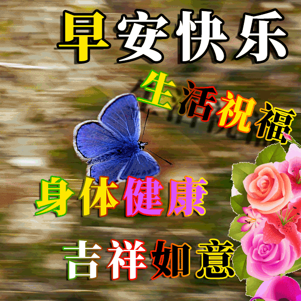 早上好动态表情图片大全 夏日早上好问候语 愿你快乐、幸福永远图片