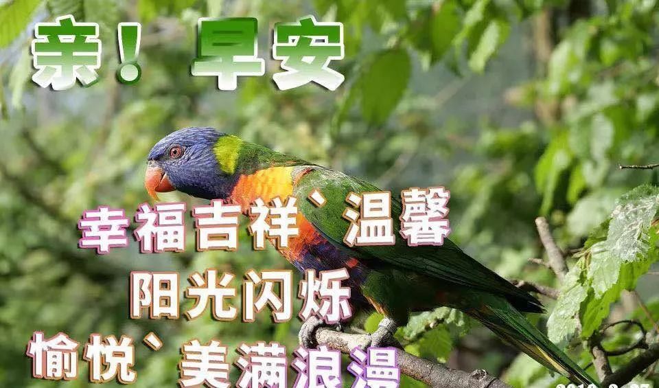 早上好问候语图片大全 以心交心才配真心 以情交情才配真情图片